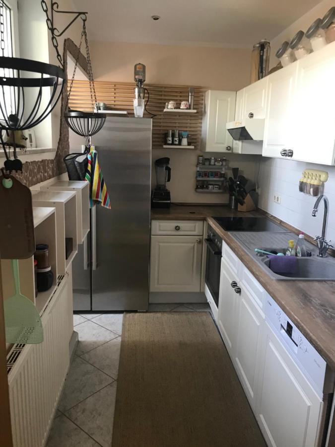 Dachterrassen Idylle Ueber Den Daechern Dresdens Buitenkant foto